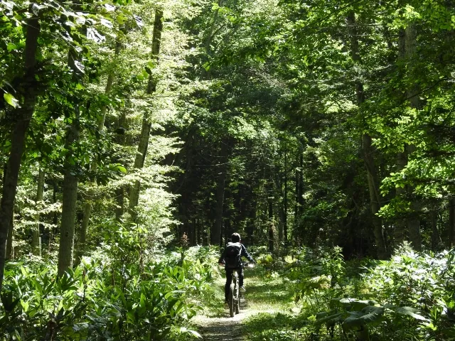 白馬岩岳のマウンテンバイクコース。北アルプスを背景にダウンヒルを楽しむ